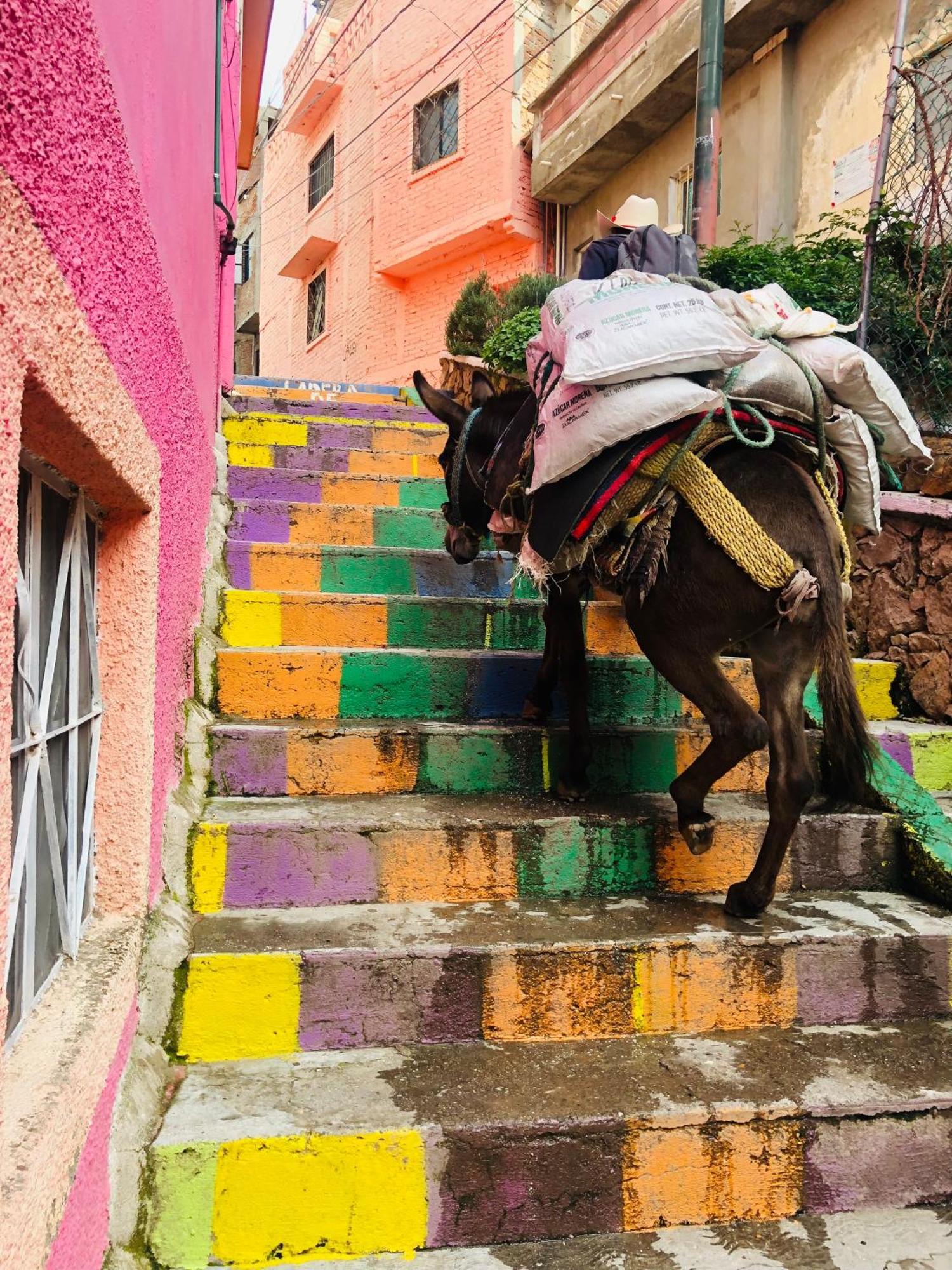 Home Sweet Home Guanajuato Zewnętrze zdjęcie